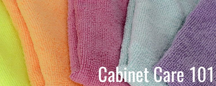 Blog 5 Cabinet Care 101 Header