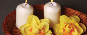 Wellness Kitchen Header