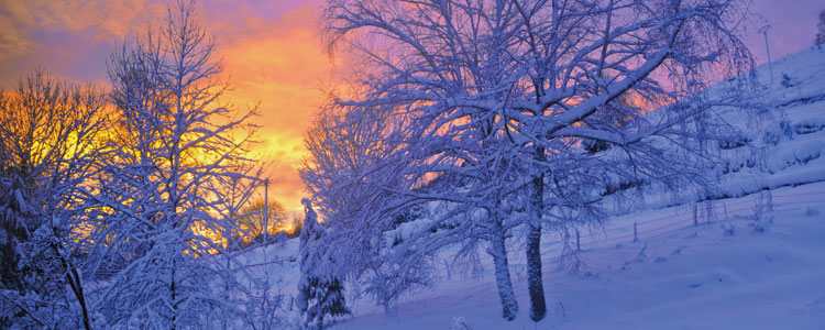 Protecting Your Cabinets Against the Damaging Effect of Winter Header