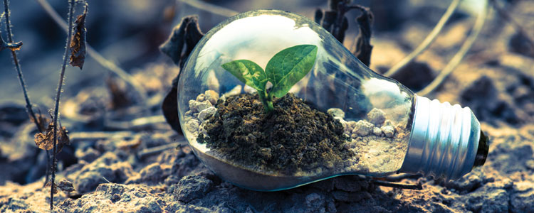 Eco-friendly Kitchens Header