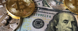 Lending Lingo Header