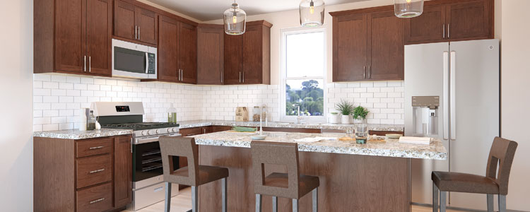 Cabinet Vocabulary Header