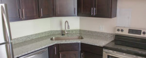 Hamilton House Header