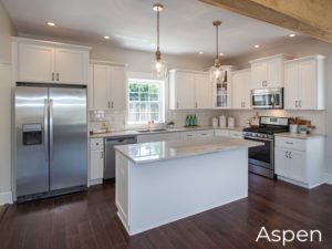 Kitchen Styles Contemporary Aspen